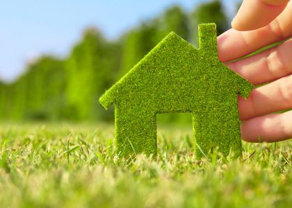 portfolio-eco-image-6