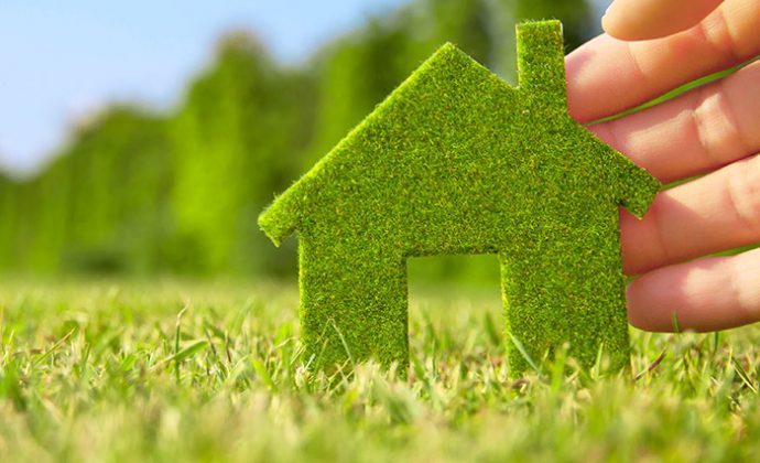 portfolio-eco-image-6